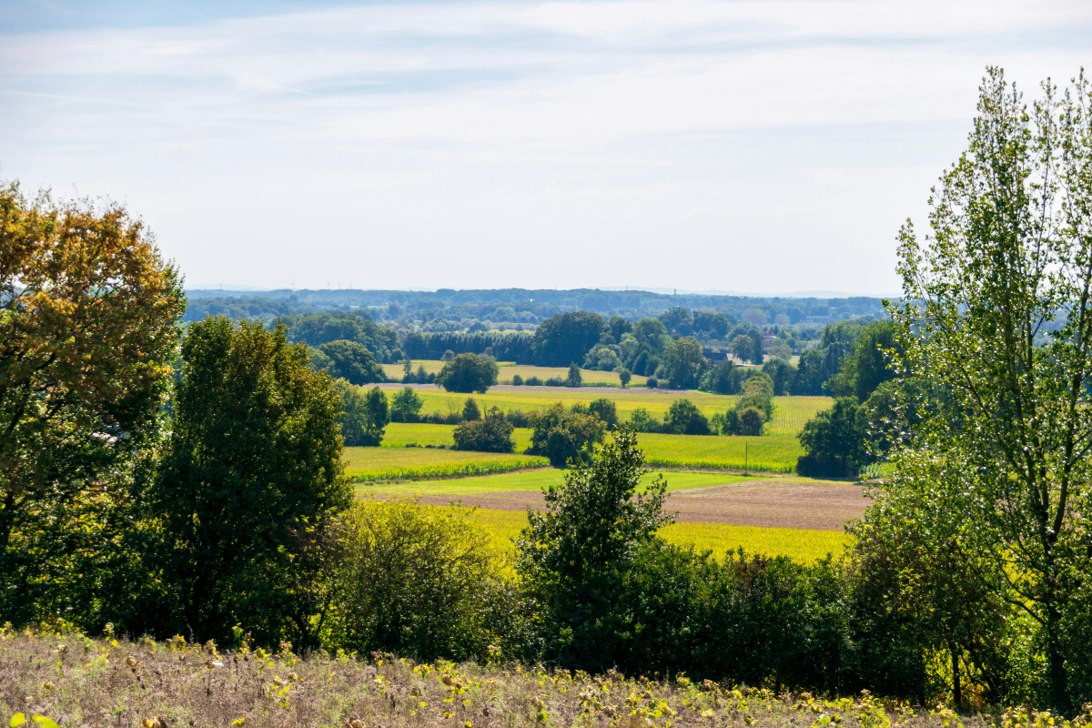 BNG Updates: Defra Proposes New Exemptions for Rural Development ...